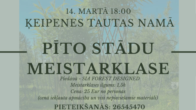 Pīto stādu meistarklase