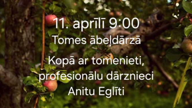 11. aprīlī plkst. 9.00 Tomes ābeļdārzā norisināsies izglītojoša un praktiska meistarklase, uz kuru aicina Tomes pagasta iedzīvotāju padome sadarbībā ar profesionālu dārznieci Anitu Eglīti.