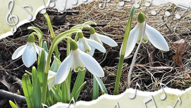 21. martā plkst. 17.00 koru festivāls "Pavasara svinēšana". Piedalās sieviešu kori no visas Latvijas