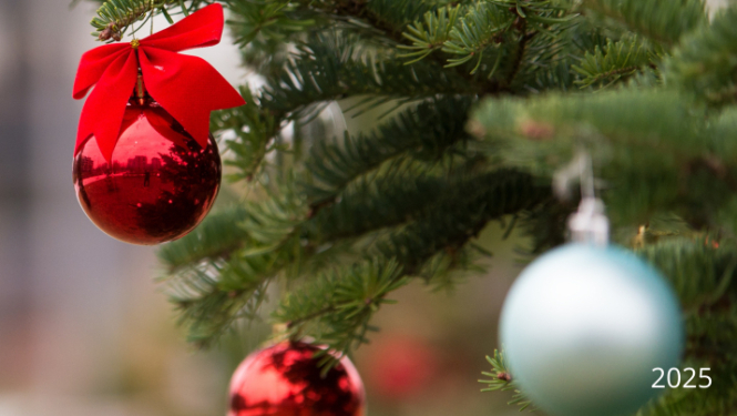 Akcija Ogresgalā "Neesi svētkos viens"