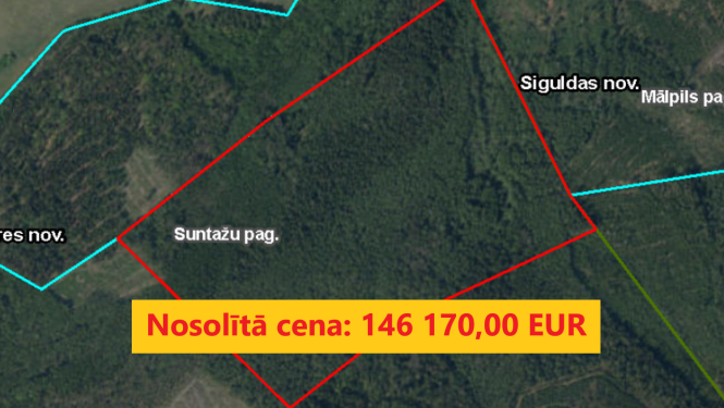 Izsoles rezultāts mežaudzes cirsmai "Auči" Suntažu pagastā. Nosolītā cena 146170 eiro