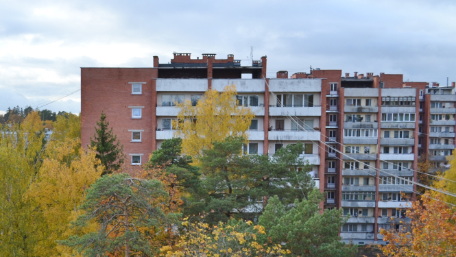 Prusaku apkarošana dzīvokļos – ieteikumi iedzīvotājiem