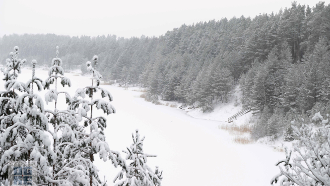 Sniegots ziemas skats uz aizsalušo Dubkalnu ūdenskrātuvi