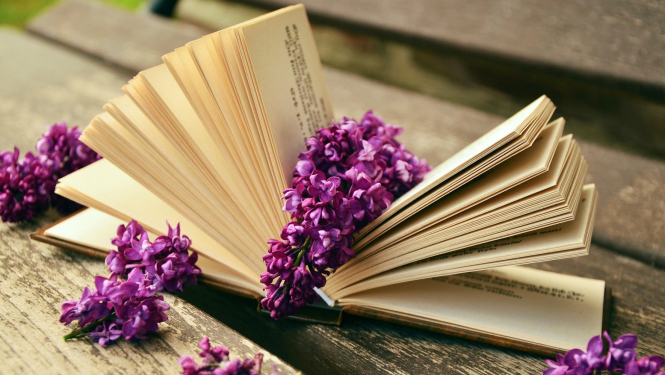 Pasniegts Ogres novada pašvaldības apbalvojums “Gada absolvents". Attēlā atvērta grāmata ar ceriņu ziediem starp lappusēm