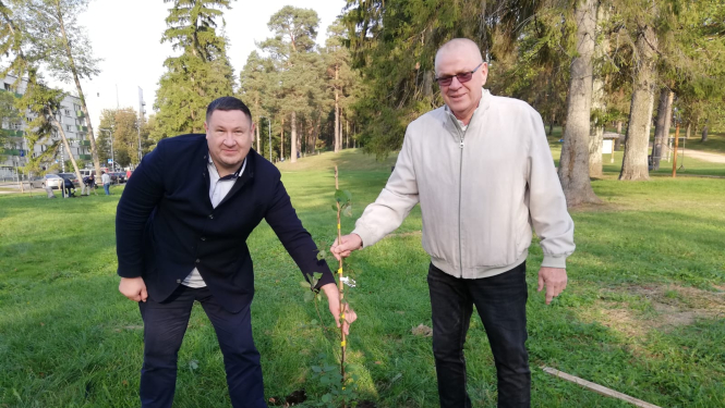 Atjauno mežaudzi Zilo kalnu pakājē