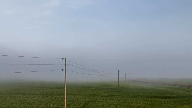 Zaļš lauks ar elektrības stabiem un vadiem