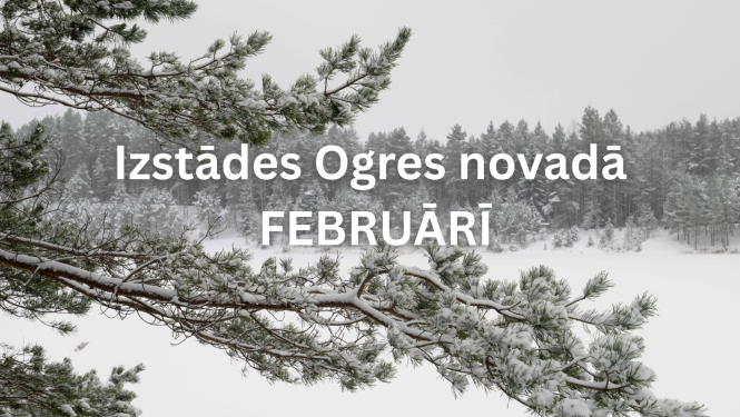 Izstādes februārī