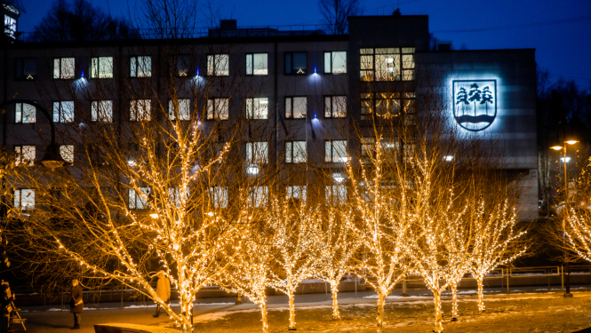 Ogres novada pašvaldības domes ēka ar izgaismotiem bērziņiem priekšplānā