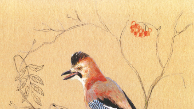 Apskatāma Ievas Jaundālderes (Santagoras) izstāde "Lidojums"