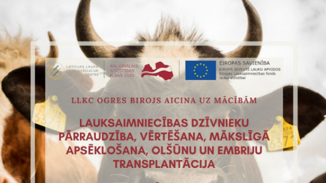 Aicina uz mācībām piena lopkopības nozarē