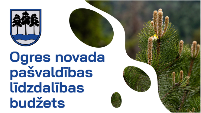 Ogres novada pašvaldības līdzdalības budžets. Attēlā novada ģerbonis ar trīs priedēm un priedes stādiņš