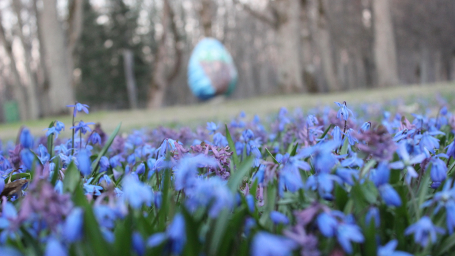 Lieldienas Ogres novadā