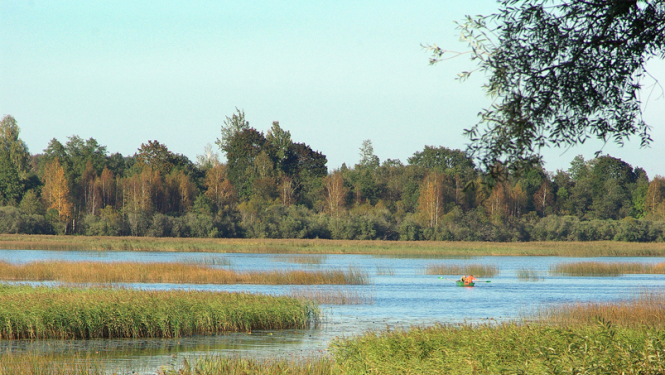 Par Lobes ezera apsaimniekošanas plāna izstrādi