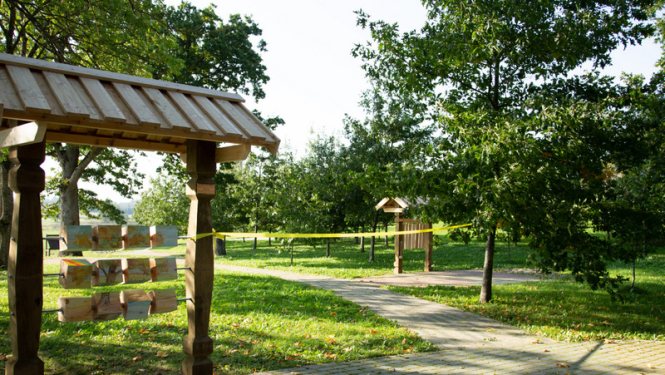 Madlienā īstenots projekts „Atklāj koka dvēseli”