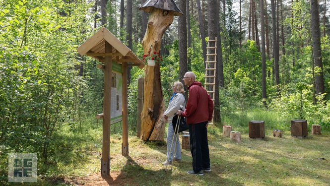 Piektdien, 13. jūnijā, Ogres Zilajos kalnos notika Meža/savvaļas bišu takas atklāšana. Attēlā redzams kūzuls un Bišu takas stends, pie kura ar informāciju iepazīstas nūjotāju pāris
