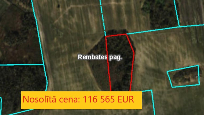 Noslēgusies izsole cirsmai "Bērziņmežs" Rembatē. Nosolītā cena 116 565 eur