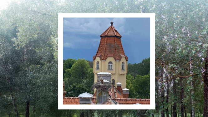 Brošūras "Ogres novada senioru spēka formulas" pirmais - vāka noformējums