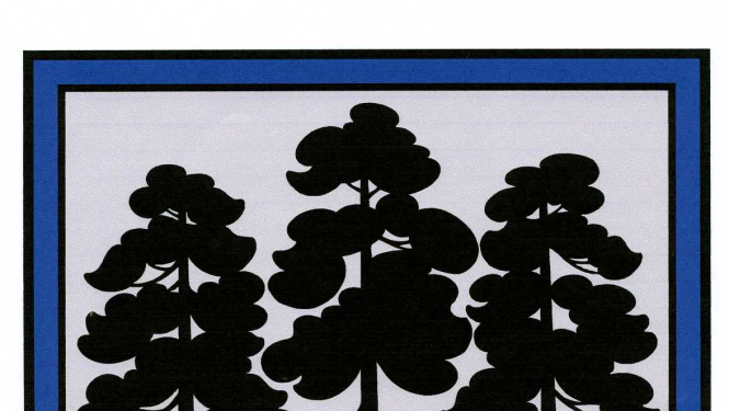 Apstiprināta pašvaldības reorganizācijas plāna konstatējuma daļa