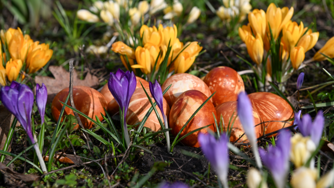 Aicinājums pieteikties pavasara tirdziņiem Ogres novadā