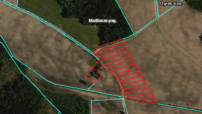 Iznomā zemes vienību “Smilgas” Madlienas pagastā, Ogres novadā