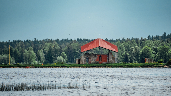Sv. Meinarda sala Ikšķilē. Speciālisti aicina Ogres novada iedzīvotājus un viesus saudzēt dabu un līdz 15. jūlijam nedoties uz Svētā Meinarda salu Daugavā Ikšķilē, kur šobrīd ligzdo savvaļas putni.