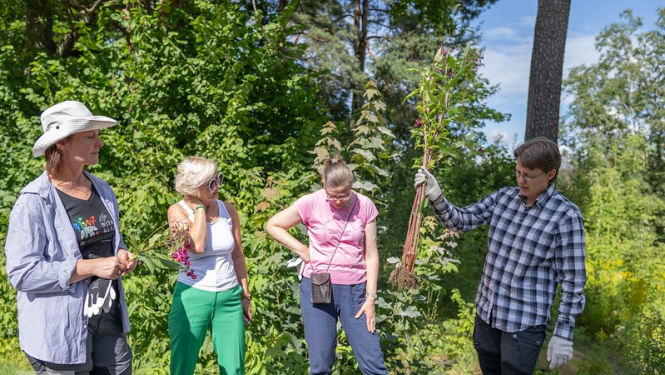 J. Čakstes prospektā notikusi talka – informatīvais seminārs invazīvo sugu izplatības ierobežošanai. Attēlā talkas dalībnieki.