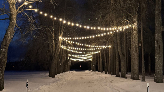 Liepu aleja Tomē, kas izgaismota ar LED lampiņu virteni