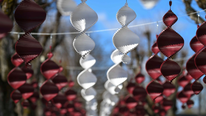 Valsts svētku noformējums 2026. gada maijā Ogrē, Liepu alejā. Baneris