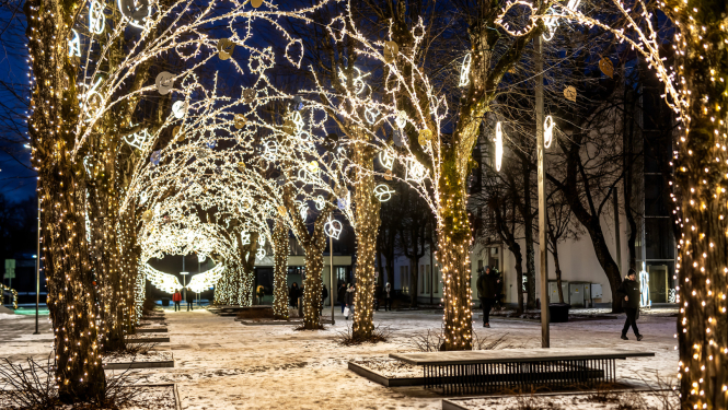 Izgaismota liepu aleja Ogrē