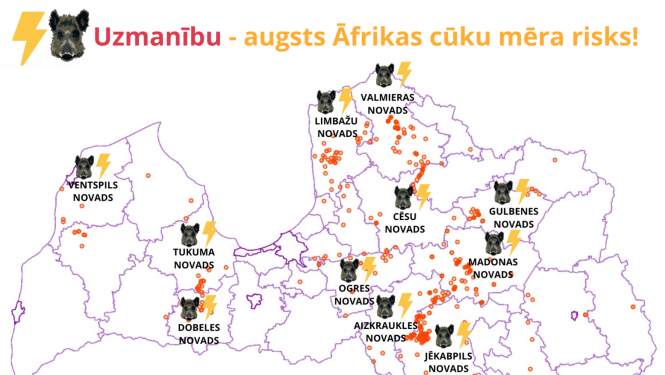 Latvijas karte ar novadiem, kur ir augsts Āfrikas cūku mēra risks