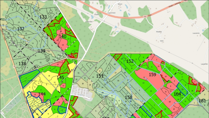 Meža ainaviskais plāns