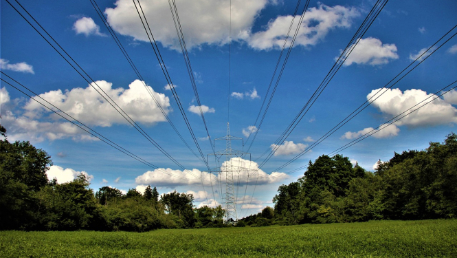 Augstspriegumu tīkls, debesis ar mākoņiem un koki. AS ''Augstsprieguma tīkls'' informē, ka 110 kV gaisvadu elektrolīnijas LNr.101 Ķeguma HES-1 – Suntaži aizsargjoslā mūsu personāls no 2025. gada 10.-12. jūnijam veiks potenciāli apdraudošo koku nozāģēšanu