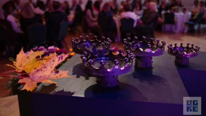 Balva “Par izcilu kopdarbu izglītībā” 2025