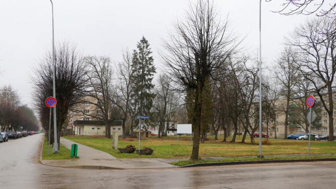 Ogrē veidos vēstures rožu dārzu