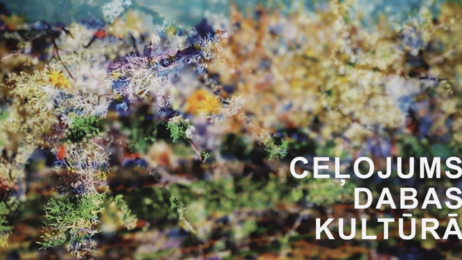 Izstāde “Ceļojums dabas kultūrā”