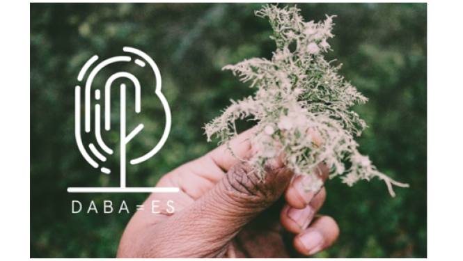 daba es