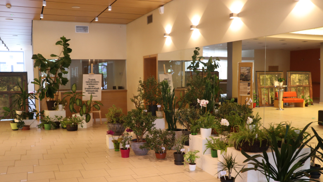 Ogres novada Kultūras centrs aicina uz Ceļojumu dabas kultūrā