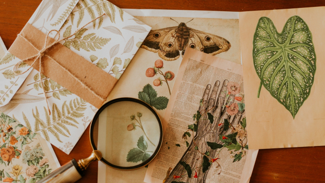 Izglītības pārvaldes aicina darbā Izglītības metodiķus