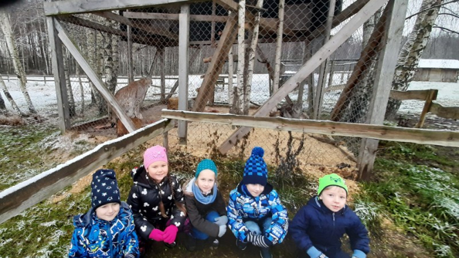 VPII “Dzīpariņš” Ziemassvētku labdarības akcijā iepriecina dzīvniekus patversmē