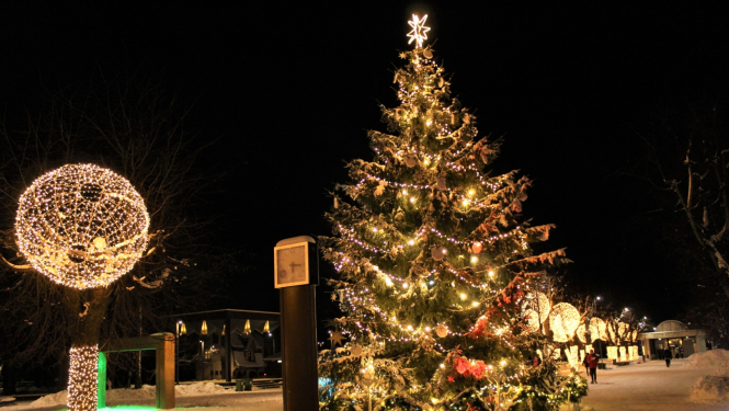 Egle_Ogre_ziema_2022