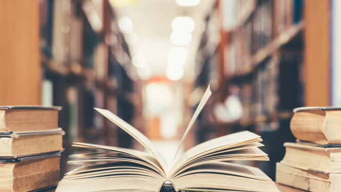 Norisinājies Ogres reģiona bibliotēku speciālistu seminārs