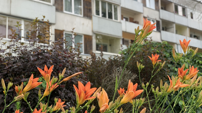 Dienziedes, fonā daudzdzīvokļu nams