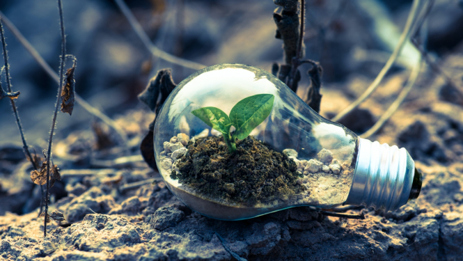 Izglītība_stipendija