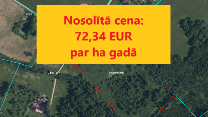 Tiek rīkota mutiska izsole par nekustamā īpašuma “Jaunā muiža 2”, Birzgales pag., Ogres nov. nomas tiesībām