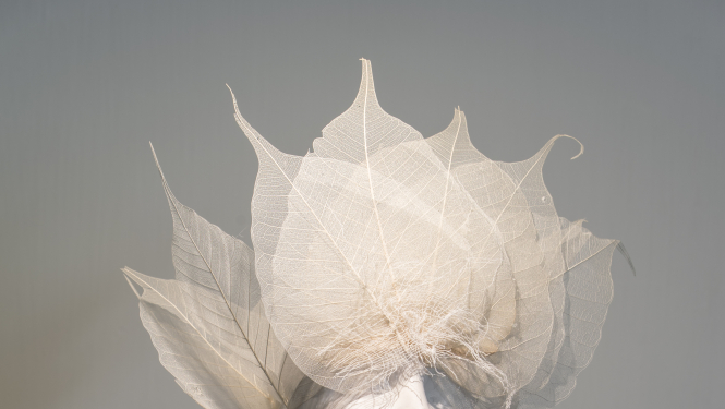 Ogres muzejā Ināras Liepas izstāde „Putnu dārza noslēpumi”