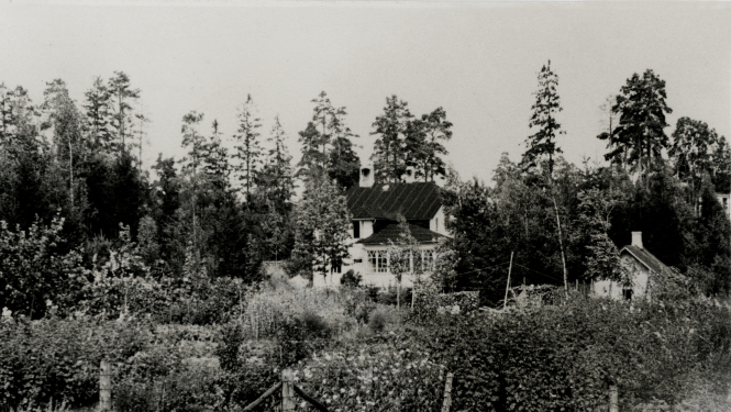 Vasaras nogalē interesenti varēs doties izzināt vasarnīcu stāstus Jaunogrē