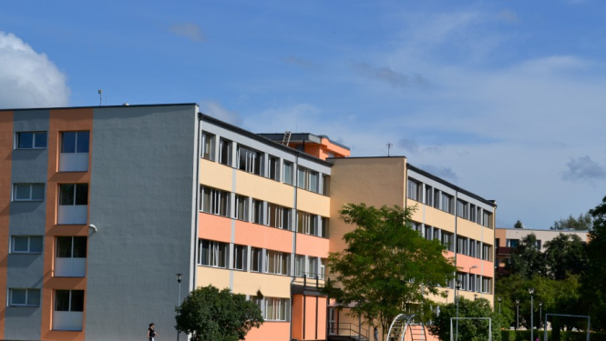 Jaunogres vidusskolas skolēni piedalījušies starptautiskā pētījumā