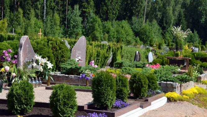 Kapusvētki Ogres novadā