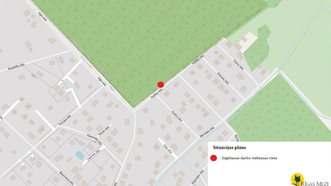 Koku nozāgēšana Kadiķu iela 