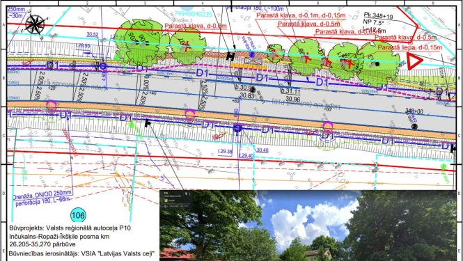 KOKU CIRŠANAS PLANS TINUZI 09082022